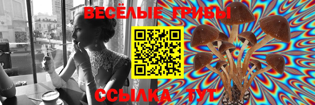 Галлюциногенные грибы Magic Shrooms Волжск