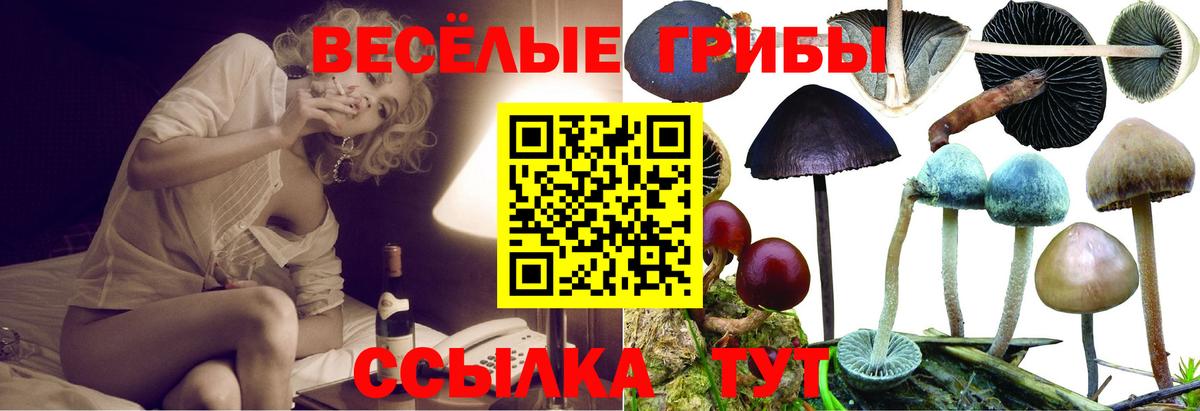 Галлюциногенные грибы Psilocybine cubensis  Вход с VPN  Волжск 